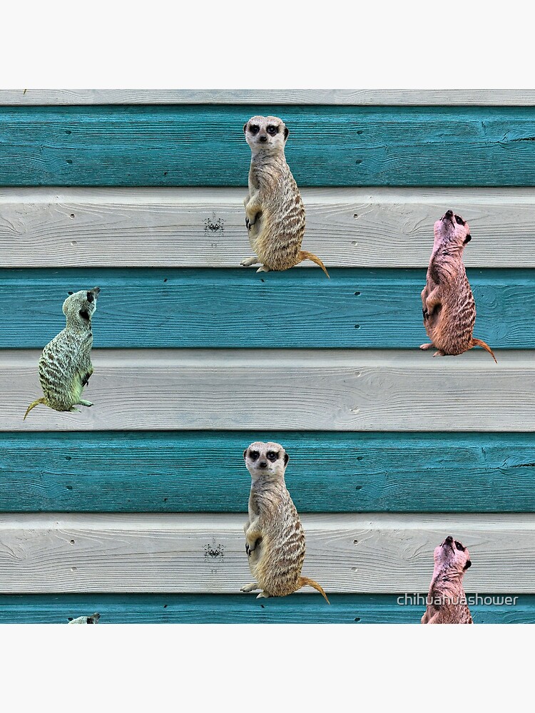 Meercat Stripes by chihuahuashower