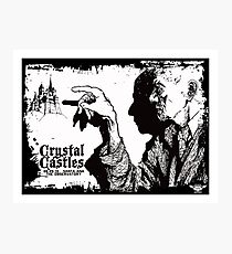 crystal castles Photographic Print