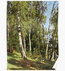 Ivan Shishkin - Birch Grove Poster