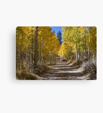 Autumn in the Eastern Sierra Canvas Print