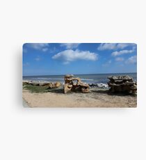 Earth Sky Sea Canvas Print