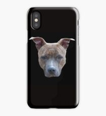 Pit bull iPhone Case/Skin