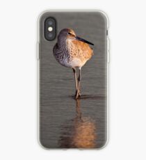 Willet at Sunset iPhone Case