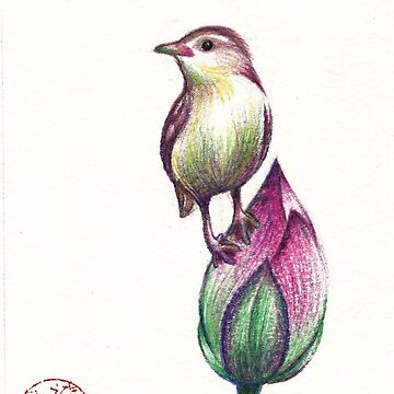 Beautiful Baby Bird on a Bashful Bud | Art Print