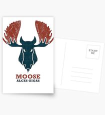 Alaskan Moose - Alces Gigas Postcards