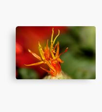 Macro Flower Canvas Print