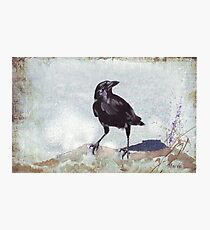 Keepers of the Sacred Law Photographic Print