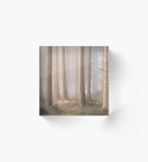 Into the Mist Acrylic Block