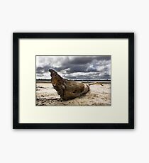 Desolate Framed Print