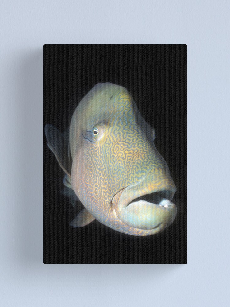 Alternate view of Tatoo Canvas Print