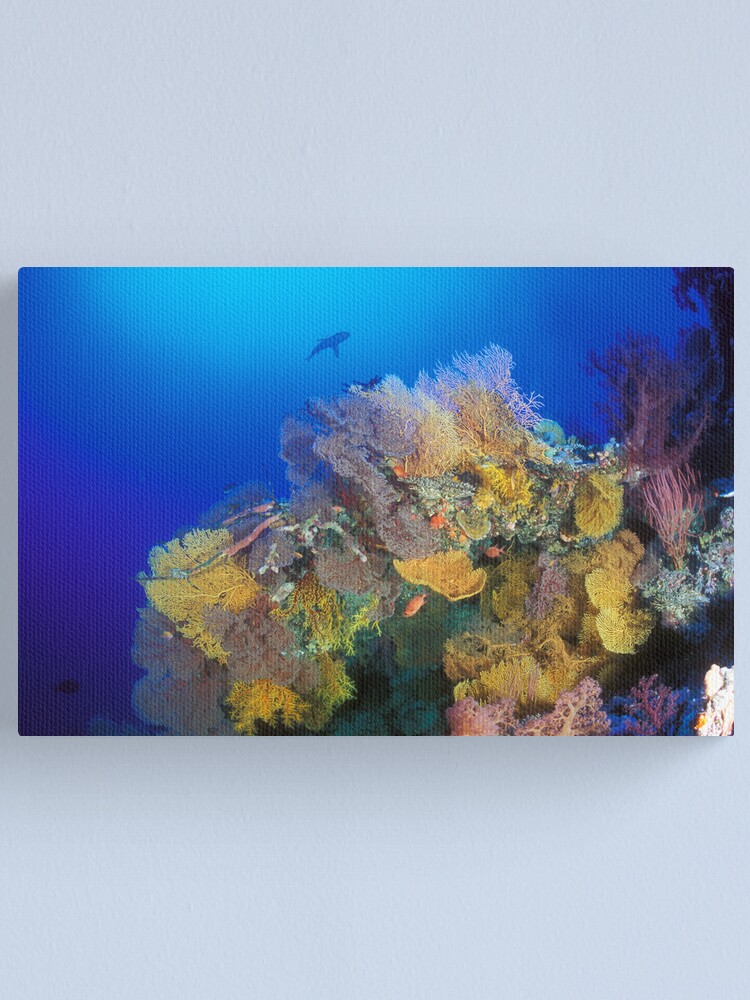 Alternate view of Osprey Reef silhouette Canvas Print