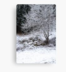 Frozen Canvas Print