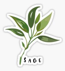 sage illustration Sticker