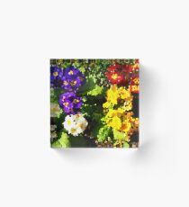 Flarr Bed Acrylic Block