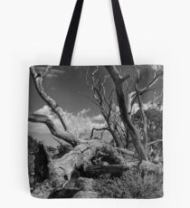 Drought Tote Bag