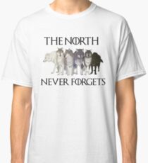 THE NORTH NEVER FORGETS Classic T-Shirt