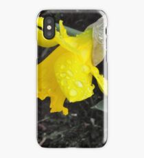 Daffodil iPhone Case/Skin