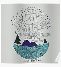 Einstein: Nature Poster