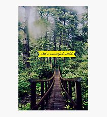 Wonderful World Photographic Print
