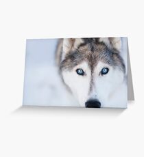 Lost in her eyes Greeting Card