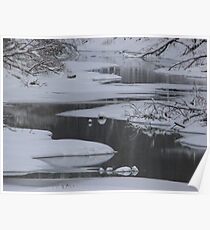 Winter Water Poster