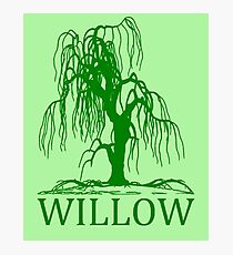 WEEPING WILLOW Photographic Print