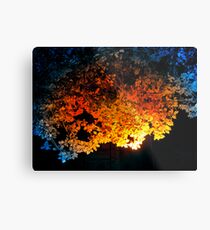 Overhang Metal Print