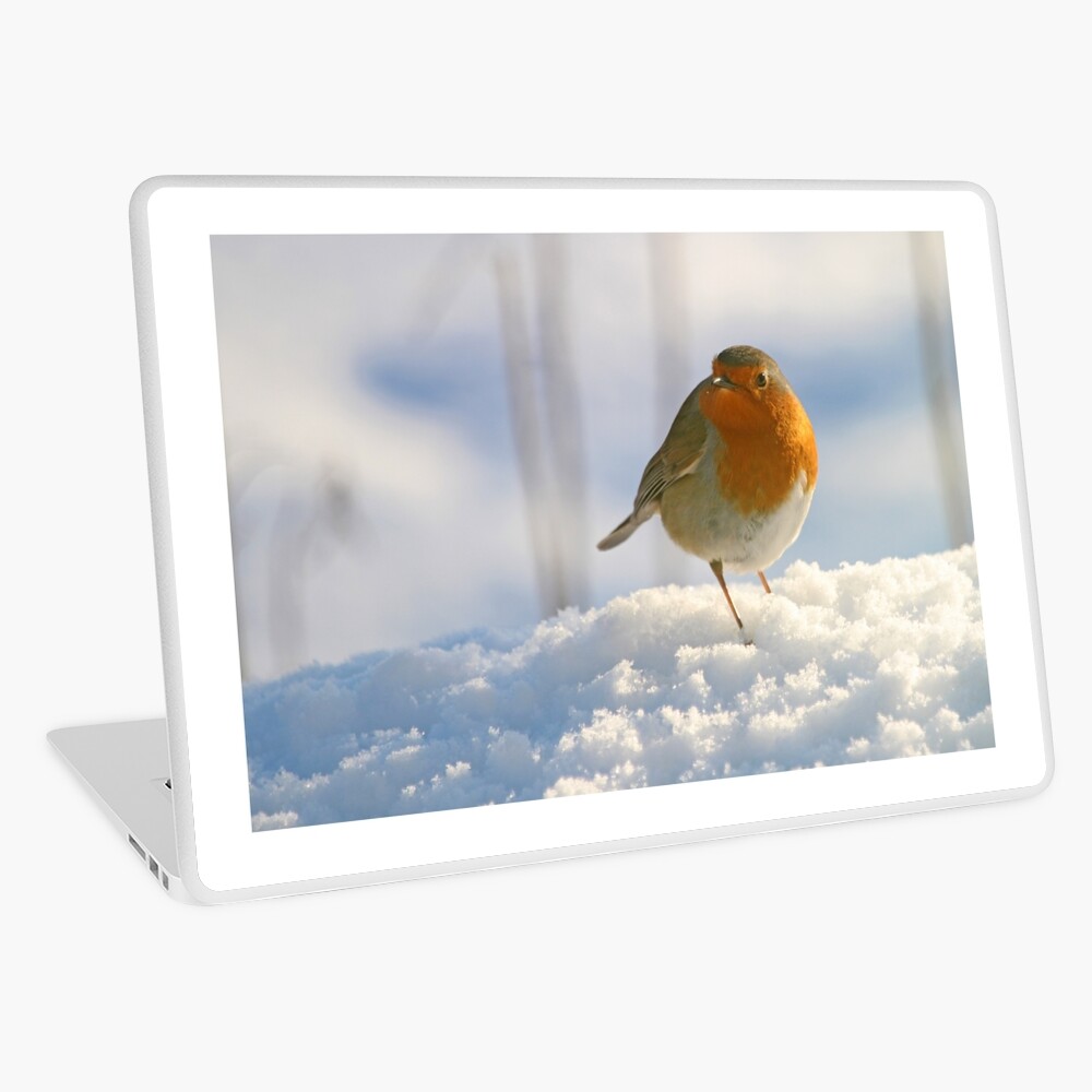 Winter robin Laptop Skin