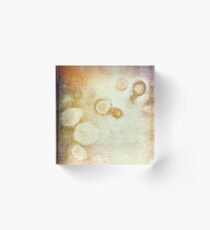 Stains on wall Acrylic Block