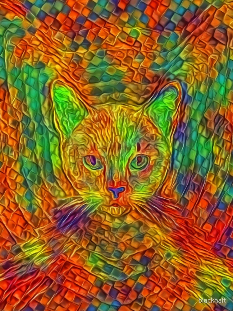 Cat by blackhalt