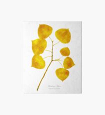 Aspen Leaves Art Board