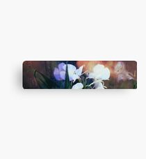 BioSphere 2 Flowers - Long Canvas Print