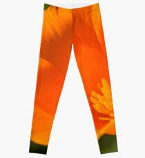California Golden Poppy Leggings