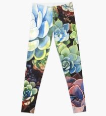 Succulent Field (watercolor) Leggings