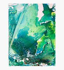 Environmental Consideration Photographic Print