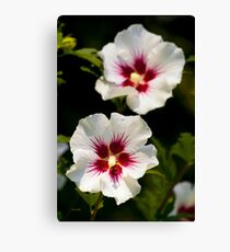 Hibiscus Canvas Print