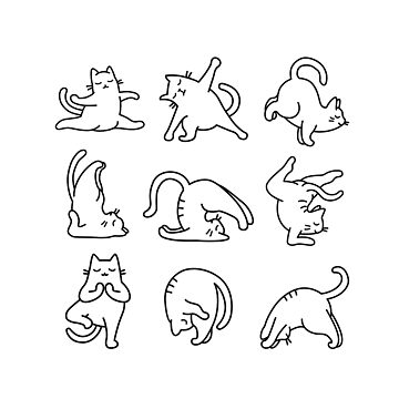 Printable Yoga Cats Stickers Digital Yoga Stickers Yoga Sticker Bundle Yogi  Stickers Cricut Cat Lover Digital Planner Sticker Set 