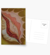 Cowrie Postcards