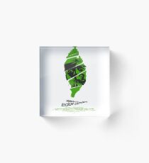 Invasion of the body snatchers Acrylic Block