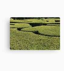 Topiary Canvas Print