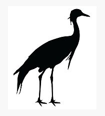 Crane Bird Shirt Photographic Print