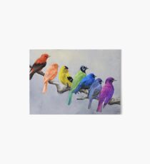 Vögel aller Farben Galeriedruck