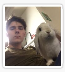 Alex Ernst and Bailey- David's Vlogs Sticker