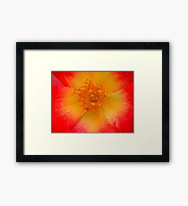 Macro flower Framed Print