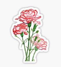 rote und rosa Gartennelken-Aquarellmalerei Sticker