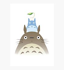 Totoro Photographic Print