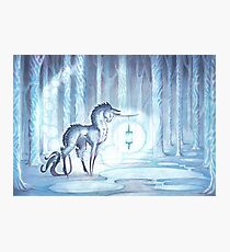 blue Photographic Print