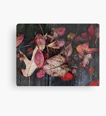 Collage Of Autumn Red Metal Print