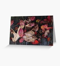 Collage Of Autumn Red Greeting Card