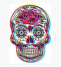 Skullduggery Photographic Print
